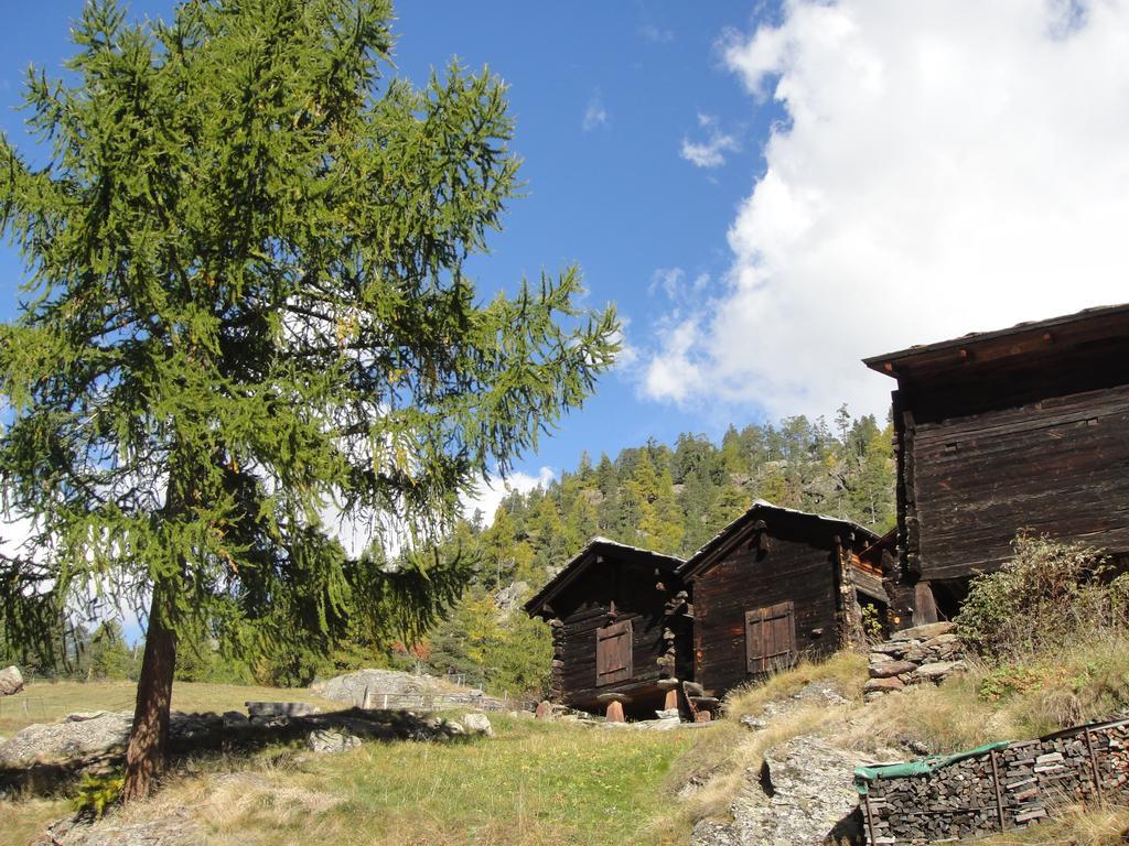 Ferienwohnung Haus Alpenstern Saas-Grund Exterior foto