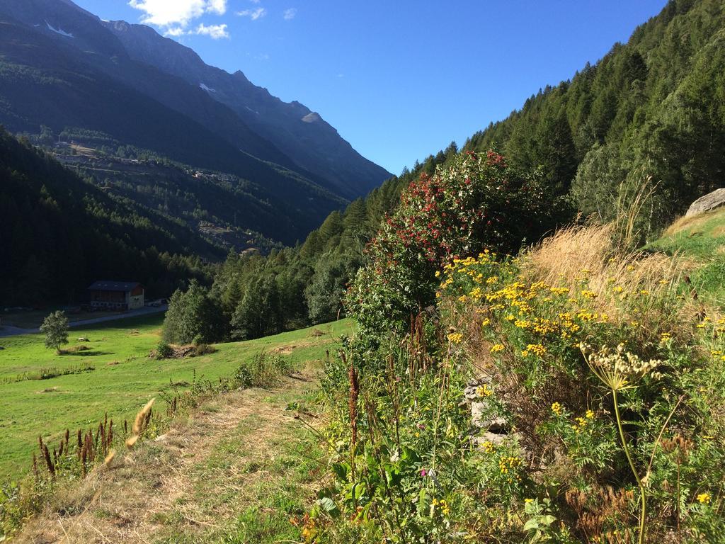Ferienwohnung Haus Alpenstern Saas-Grund Exterior foto